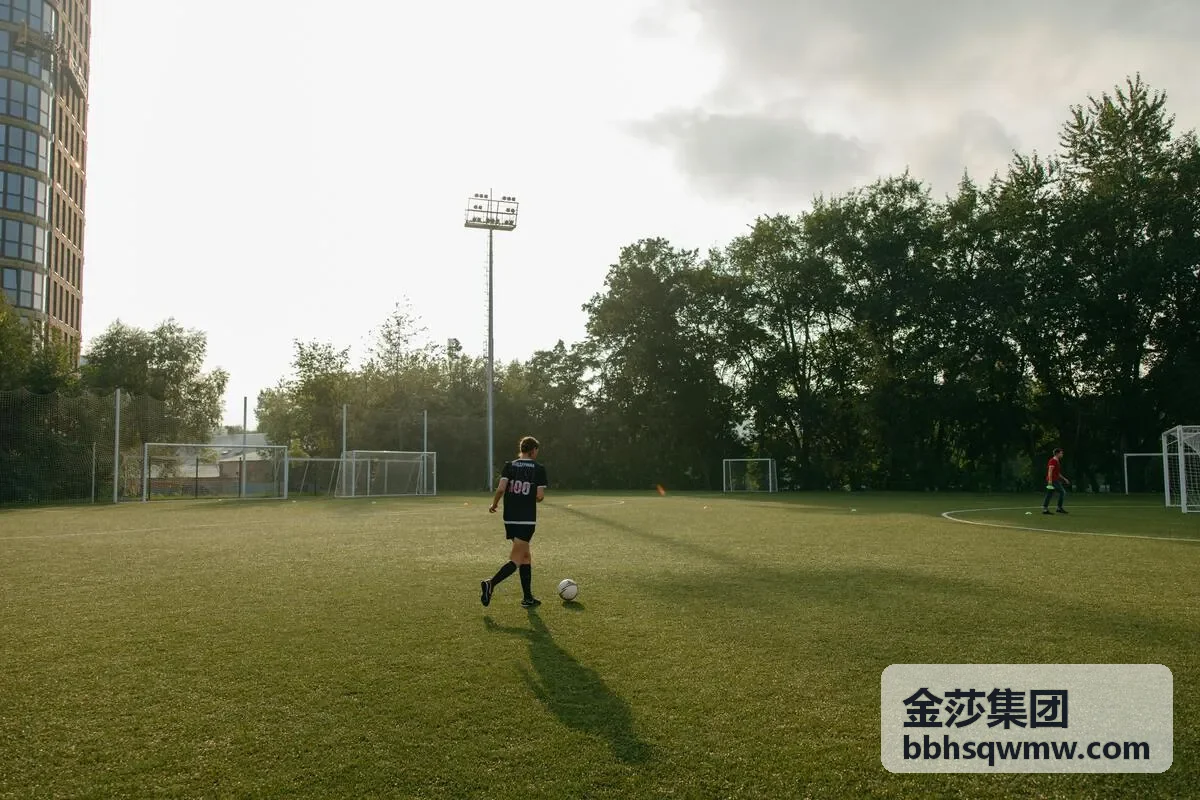 金莎集团文化建筑案例